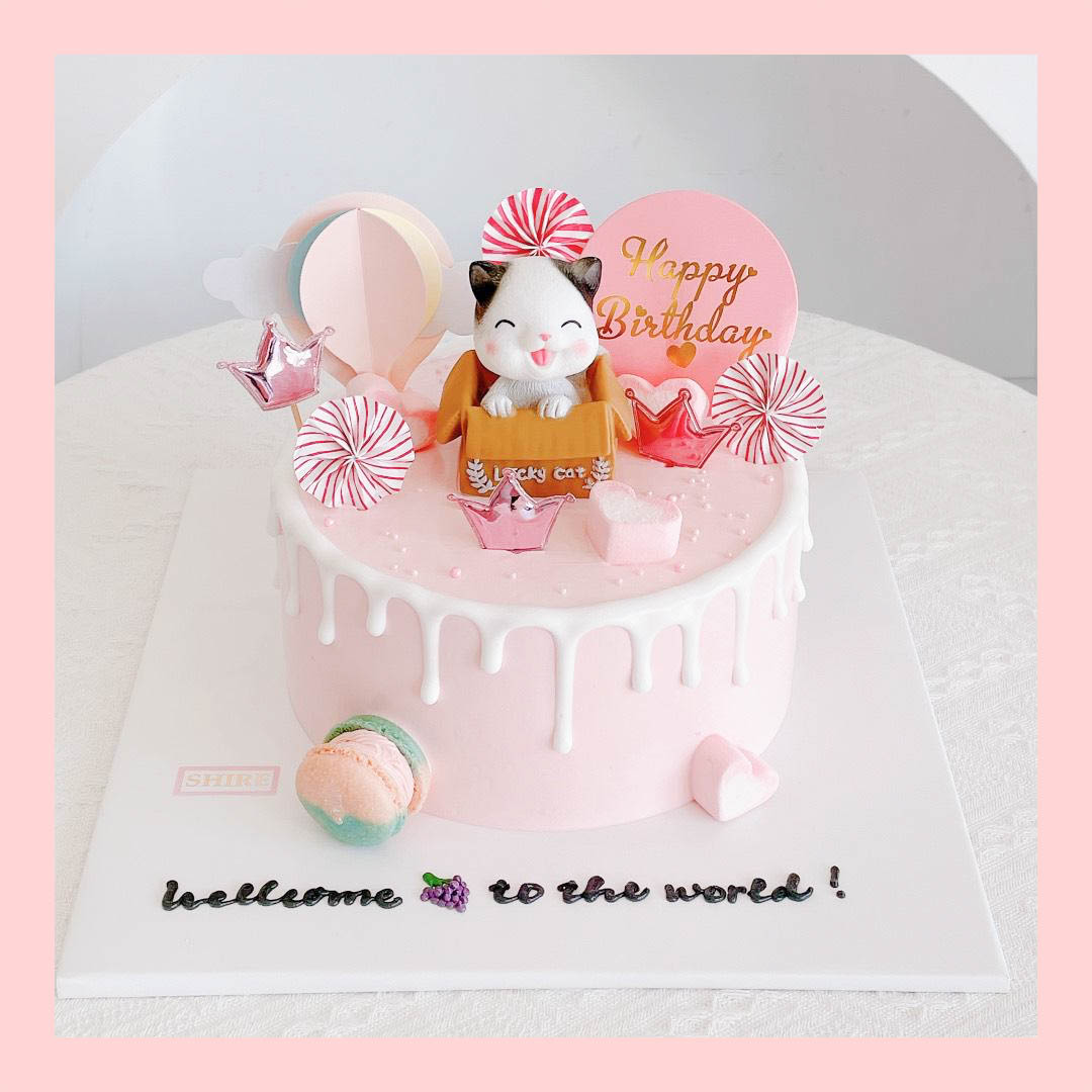 Bánh kem tuổi mẹo/con mèo - Bánh sinh nhật trẻ em