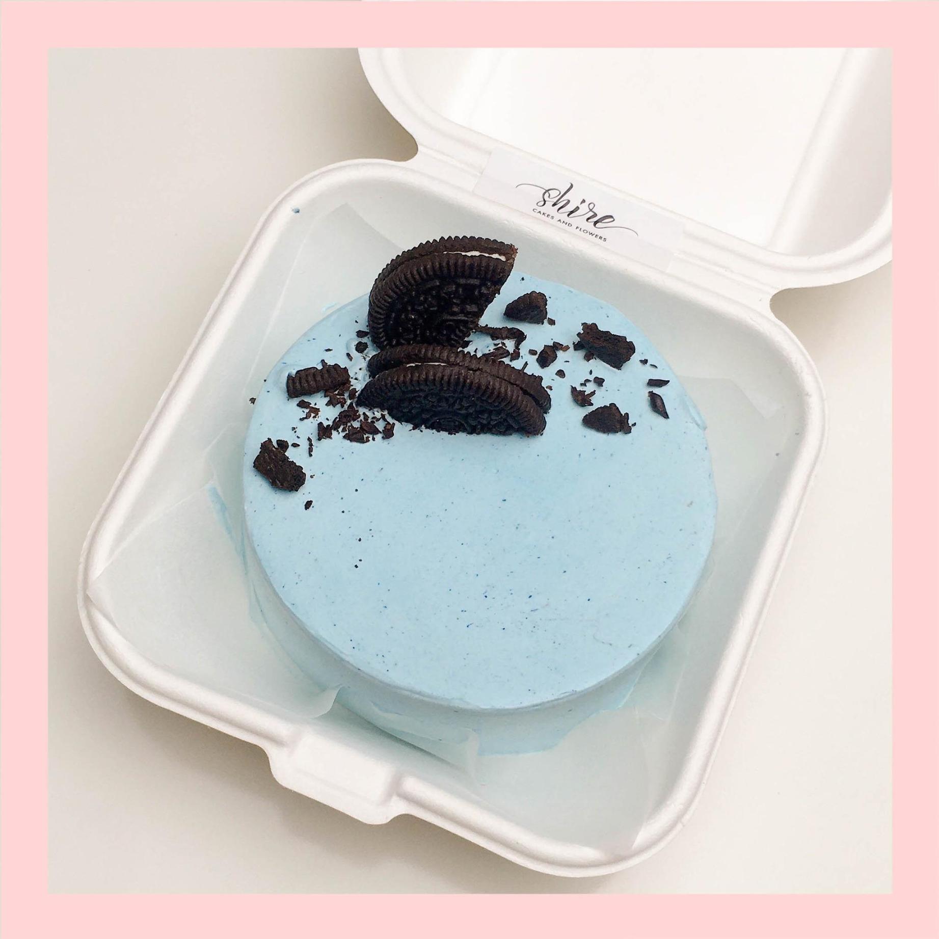 Mini Bento tone màu xanh dương - Bánh kem bơ mini hộp bã mía