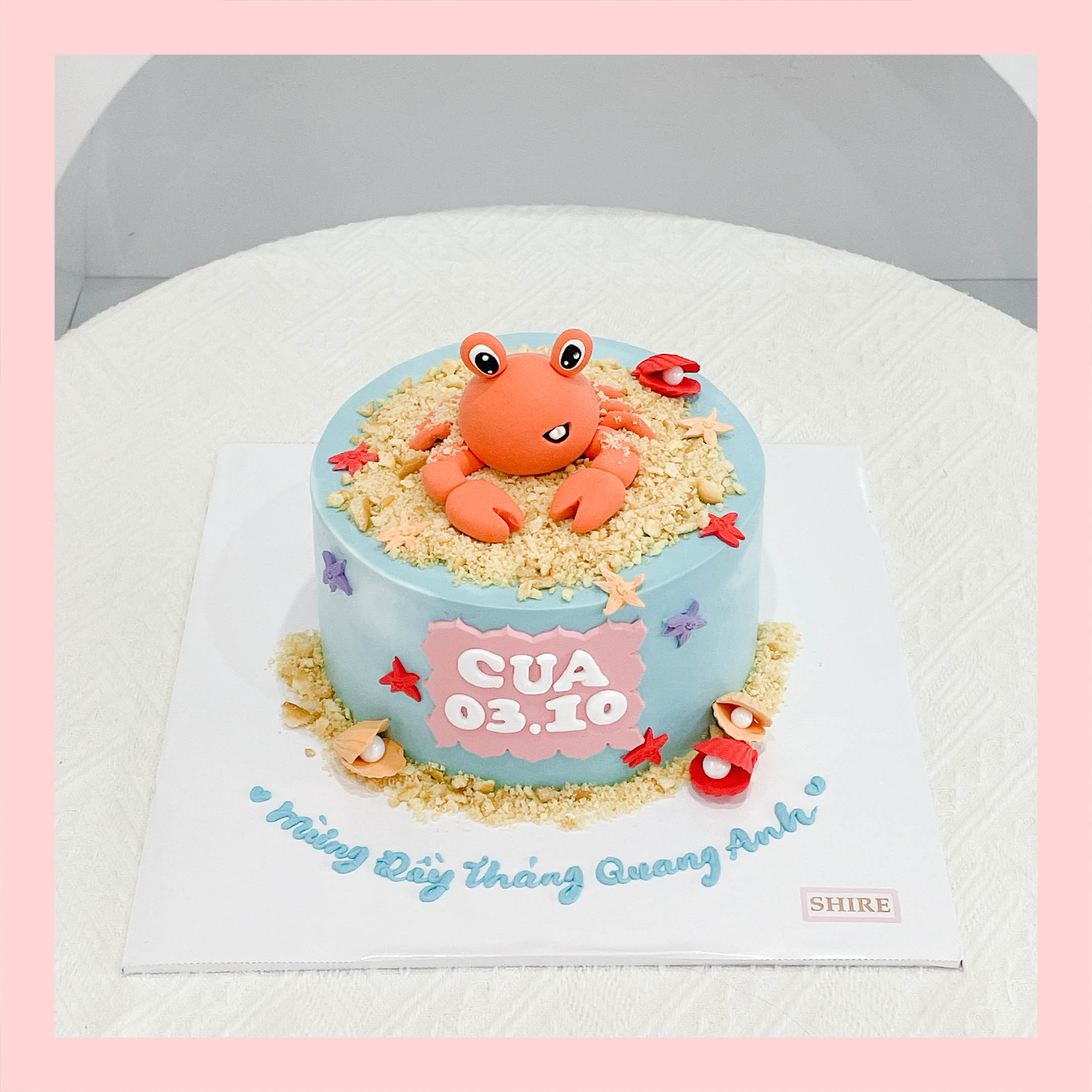 Bánh kem tạo hình con vật 3D cho các bé - Bánh kem fondant