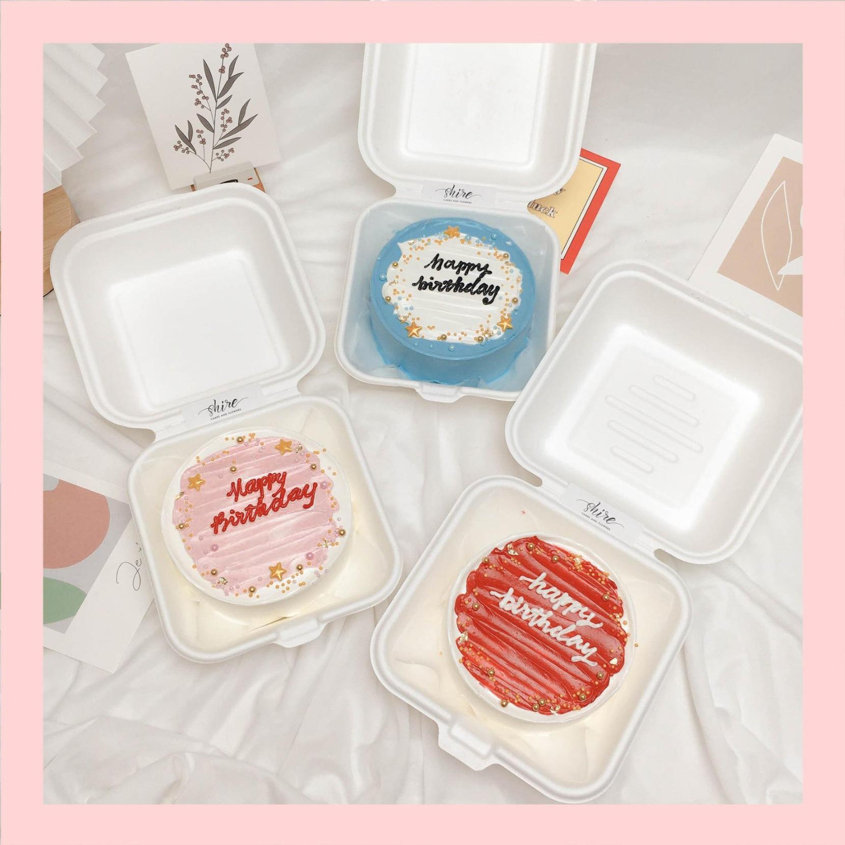 Mini Bento tone màu xanh dương - Bánh kem bơ mini hộp bã mía
