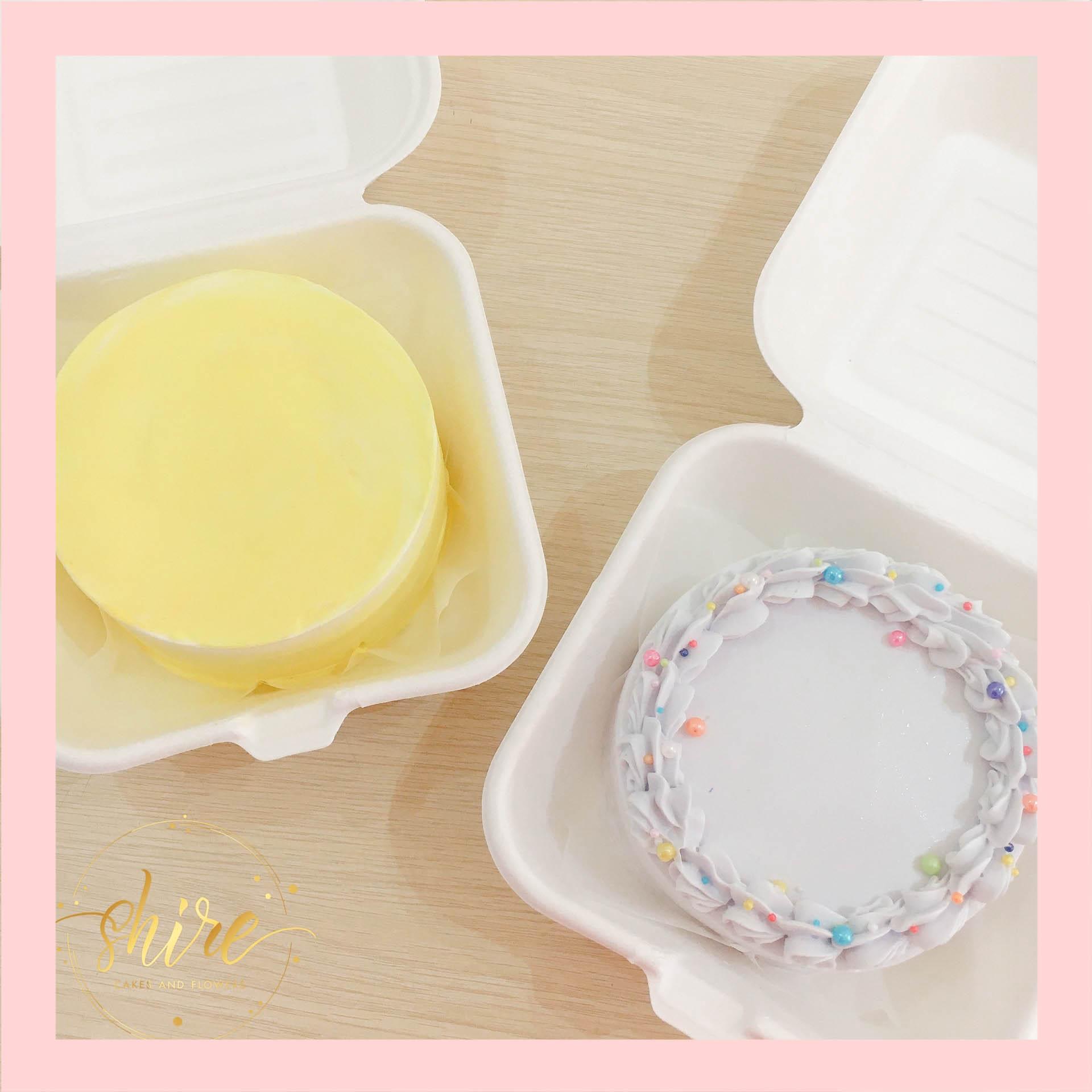 Mini Bento tone màu tím - Bánh kem bơ mini hộp bã mía