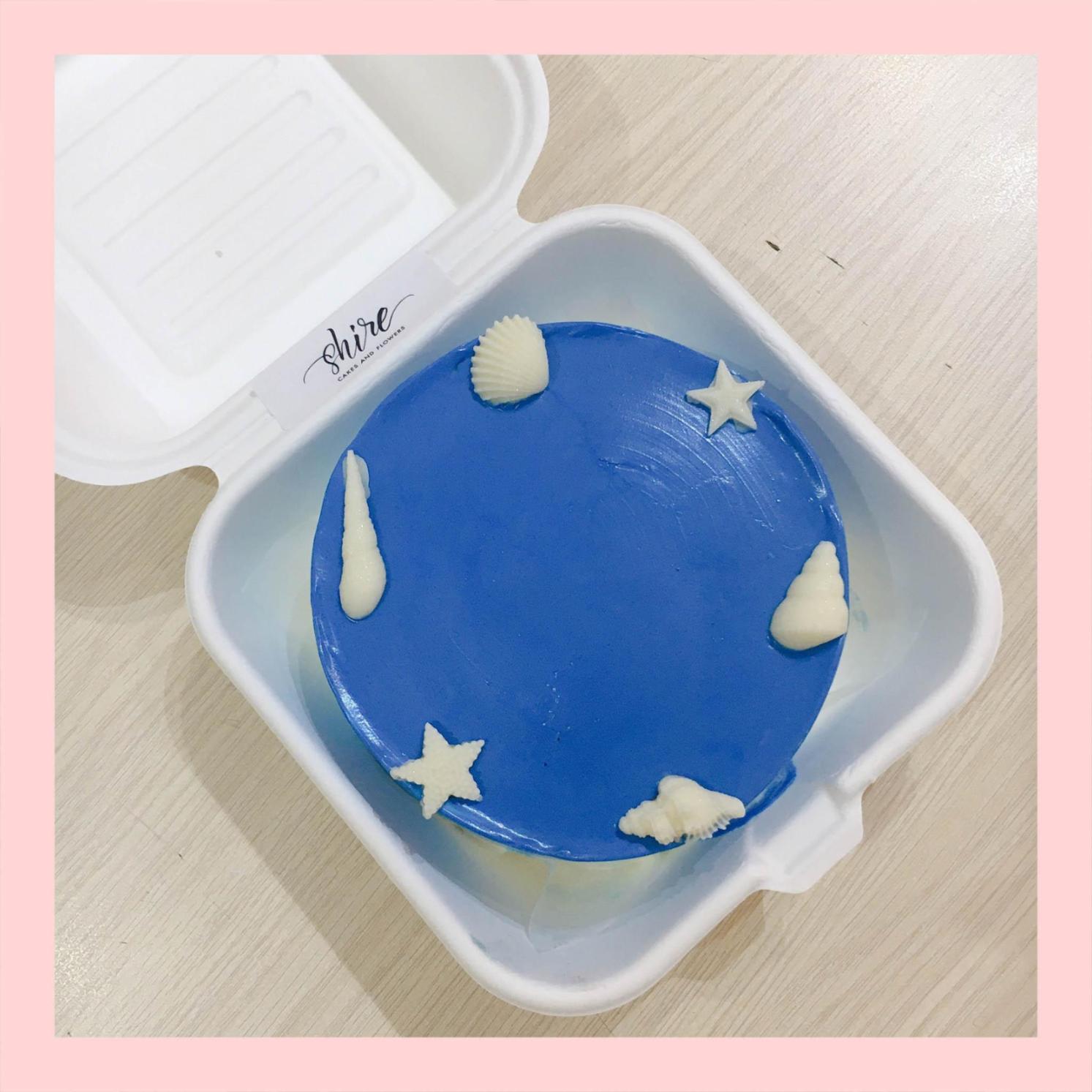 Mini Bento tone màu xanh dương - Bánh kem bơ mini hộp bã mía