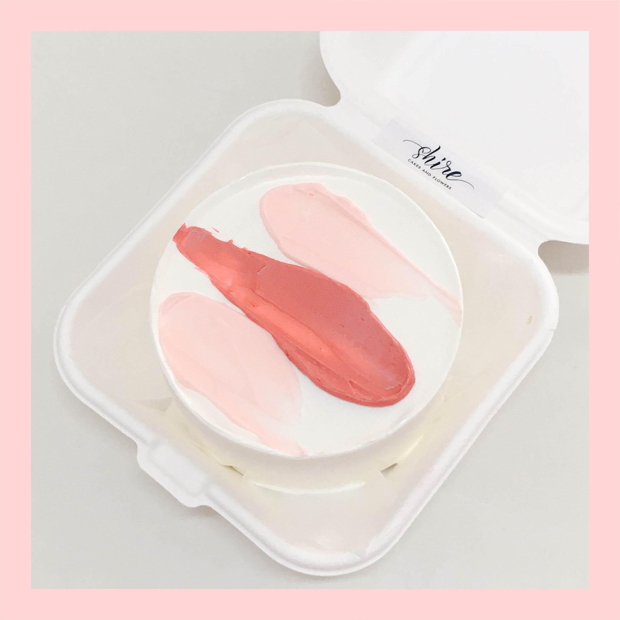 Mini Bento tone màu hồng - Bánh kem bơ mini hộp bã mía