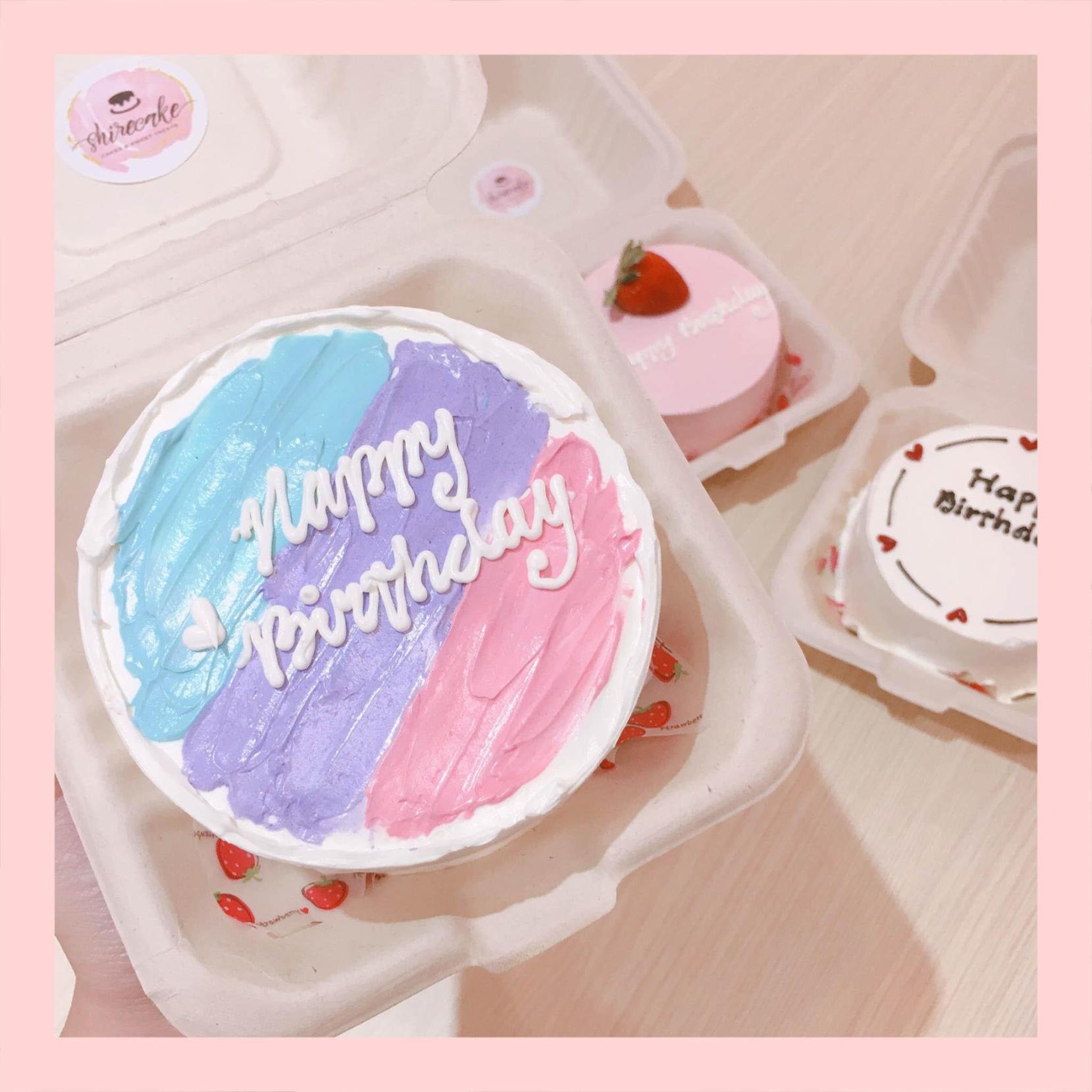 Mini Bento tone màu mix - Bánh kem bơ mini hộp bã mía