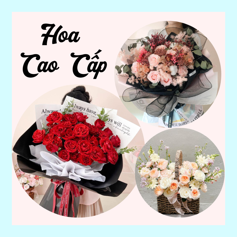 Hoa tươi cao cấp 