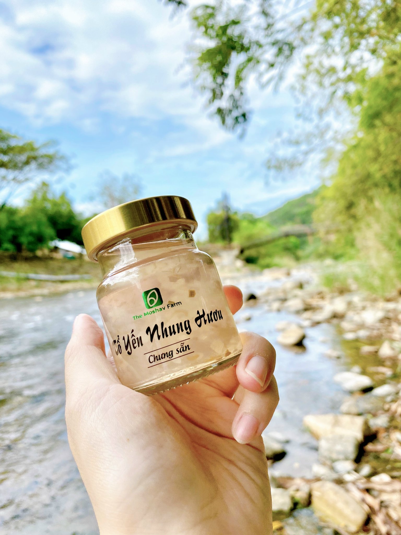 Tổ Yến Nhung Hươu Chưng Sẵn Anbinest Gold (Hũ 70ml)