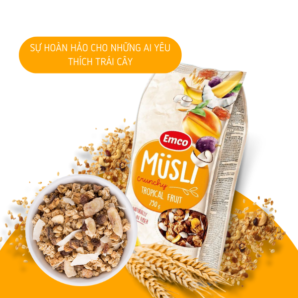 Ngũ cốc Emco vị hoa quả nhiệt đới túi 750gr