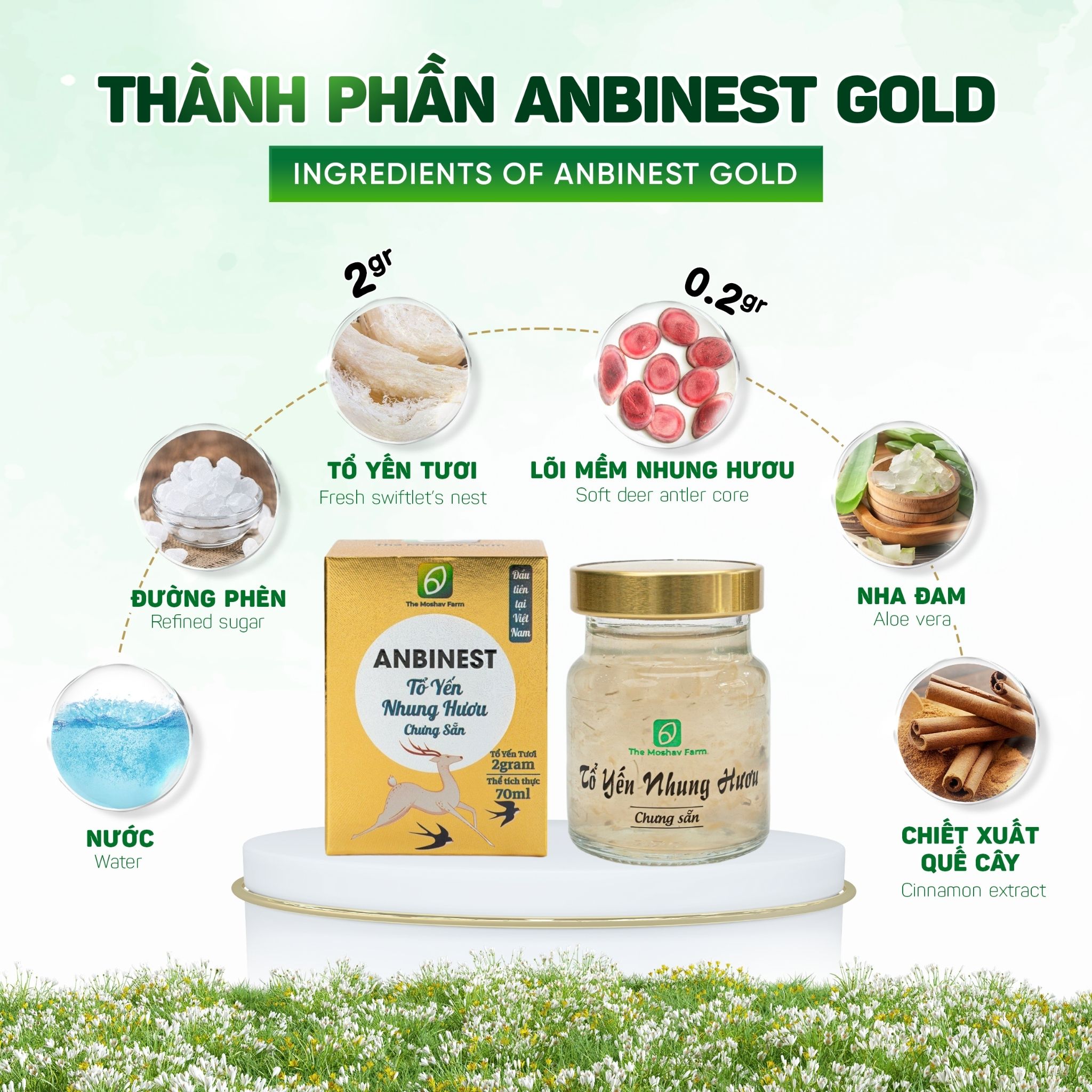 Tổ Yến Nhung Hươu Chưng Sẵn Anbinest Gold - Khay Quà Tặng 6 Hũ