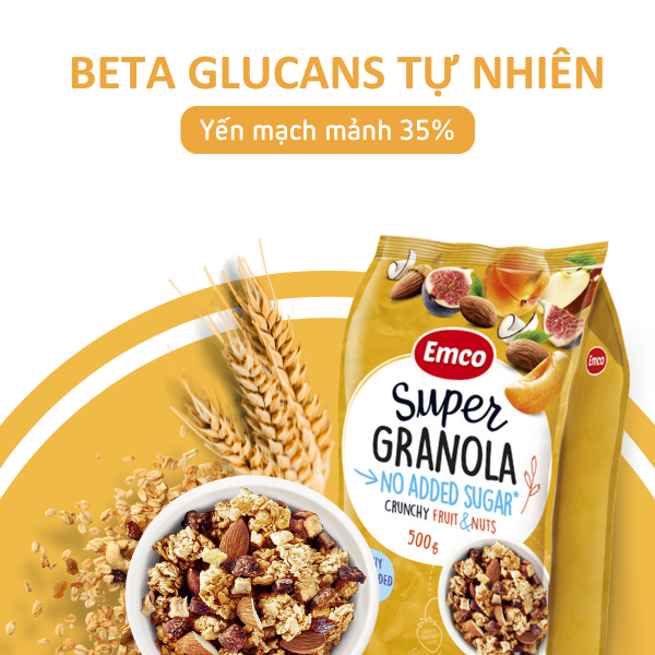 Ngũ cốc Emco không thêm đường vị trái cây và các loại hạt túi 500gr