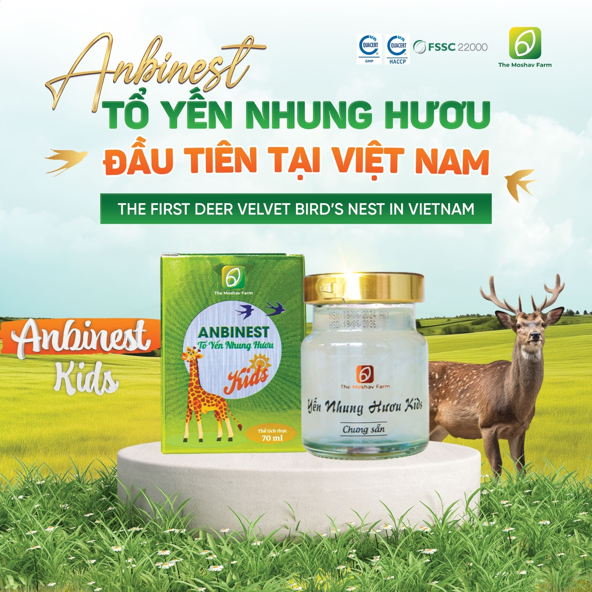 Tổ Yến Nhung Hươu Chưng Sẵn Anbinest Kids (Hũ 70ml)