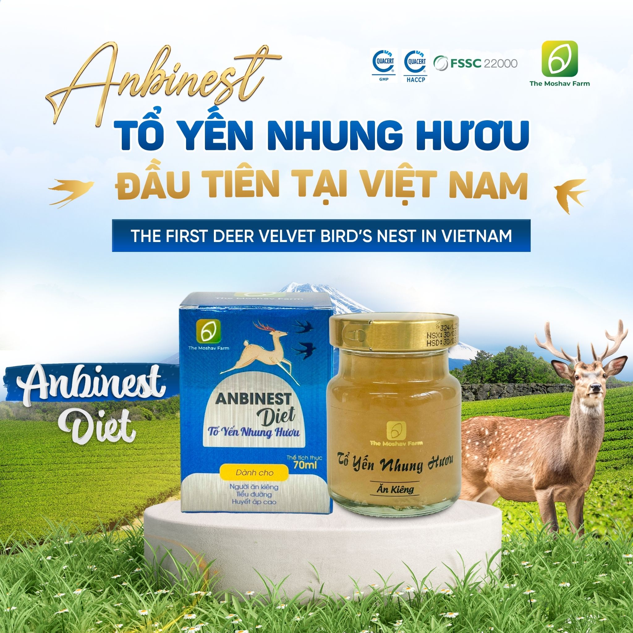 Tổ Yến Nhung Hươu Chưng Sẵn Anbinest Diet (Hũ 70ml)