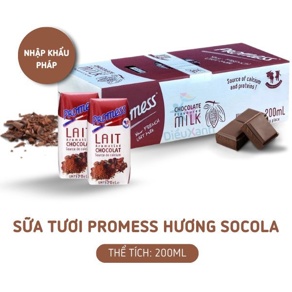 Sữa socola Promess 200ml - Chính hãng [Sữa tươi Pháp]