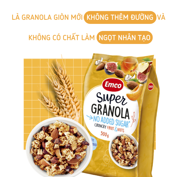Ngũ cốc Emco không thêm đường vị trái cây và các loại hạt túi 500gr