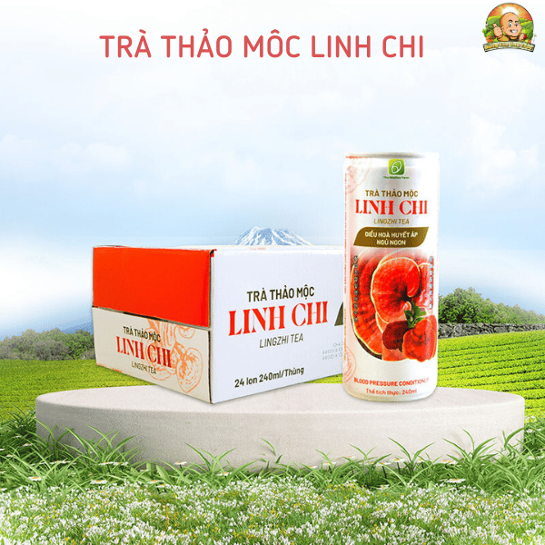 Trà thảo mộc nấm linh chi