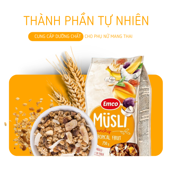 Ngũ cốc Emco vị hoa quả nhiệt đới túi 750gr