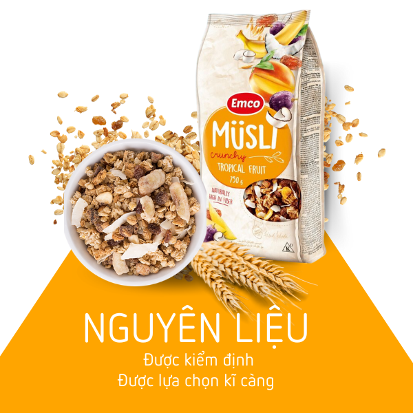 Ngũ cốc Emco vị hoa quả nhiệt đới túi 750gr