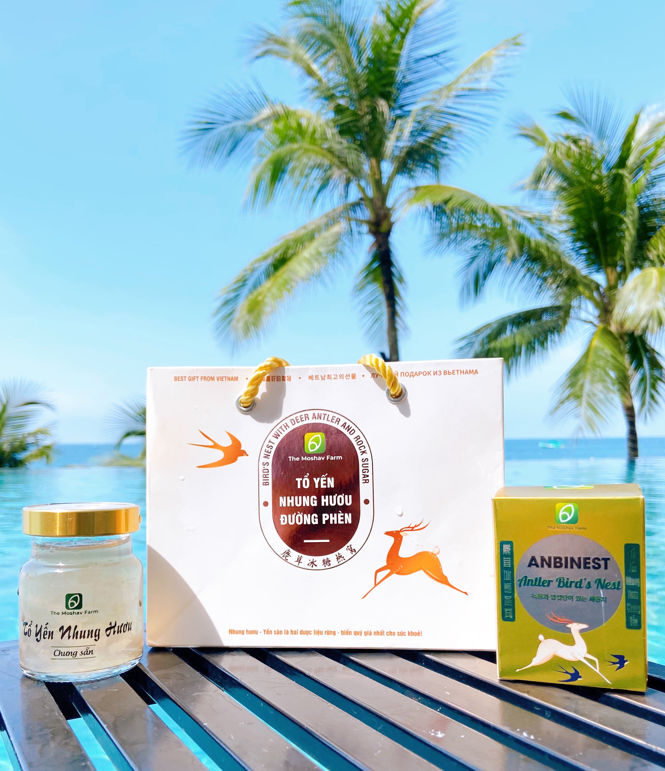 Tổ Yến Nhung Hươu Anbinest Mix 3 Vị King - Queen - Diet - Túi Quà Tặng 6 Hũ