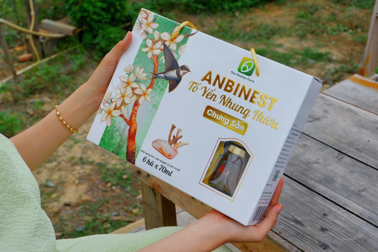 Tổ Yến Nhung Hươu Anbinest Mix 3 Vị King - Queen - Diet - Túi Quà Tặng 6 Hũ