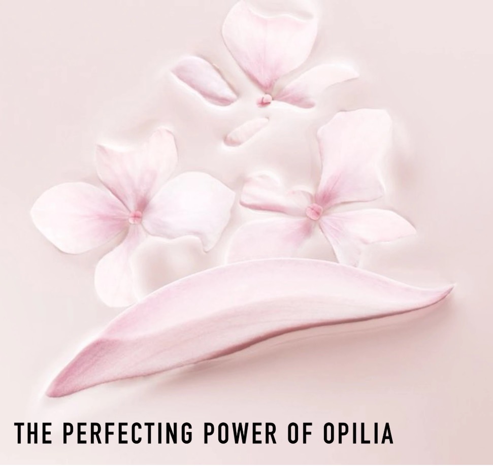 Phấn nước Dior Dreamskin Fresh & Perfect Cushion Broad Spectrum SPF 50