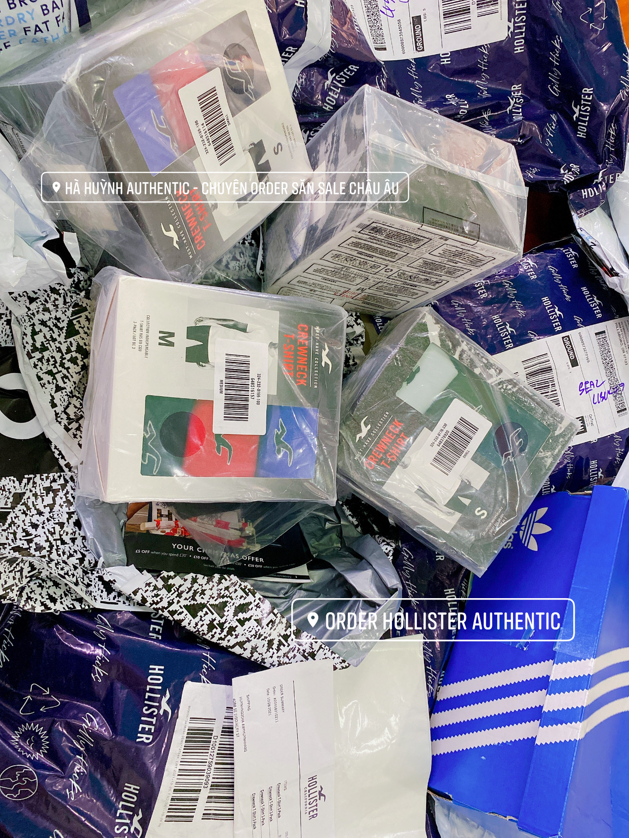 Áo thun nam Hollister Graphic Tee