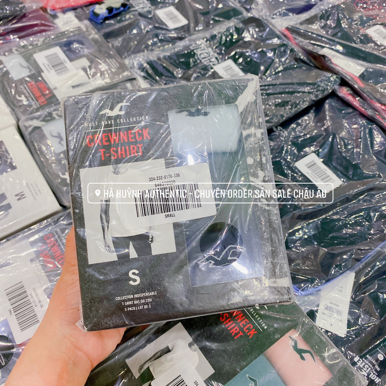 Áo thun nam Hollister Graphic Tee