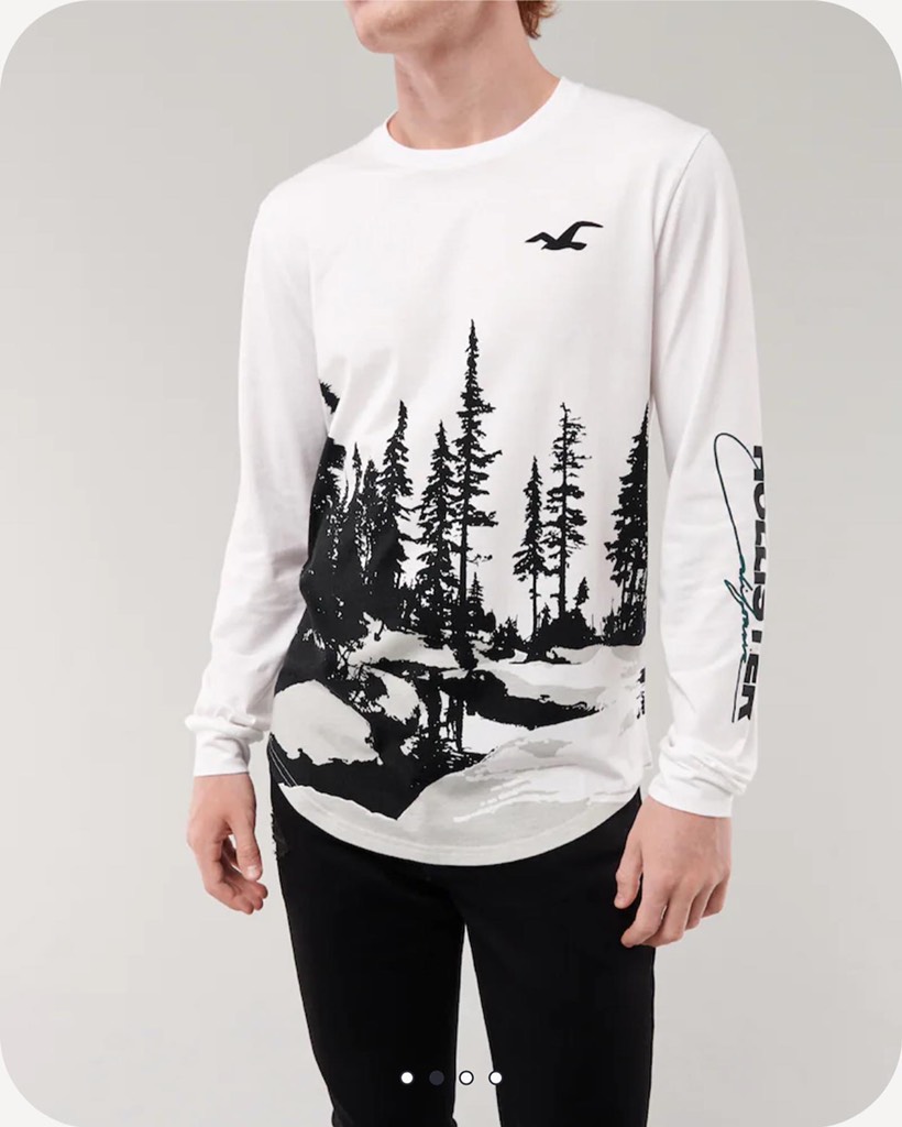 Áo thun nam Hollister Curved Hem T-Shirt