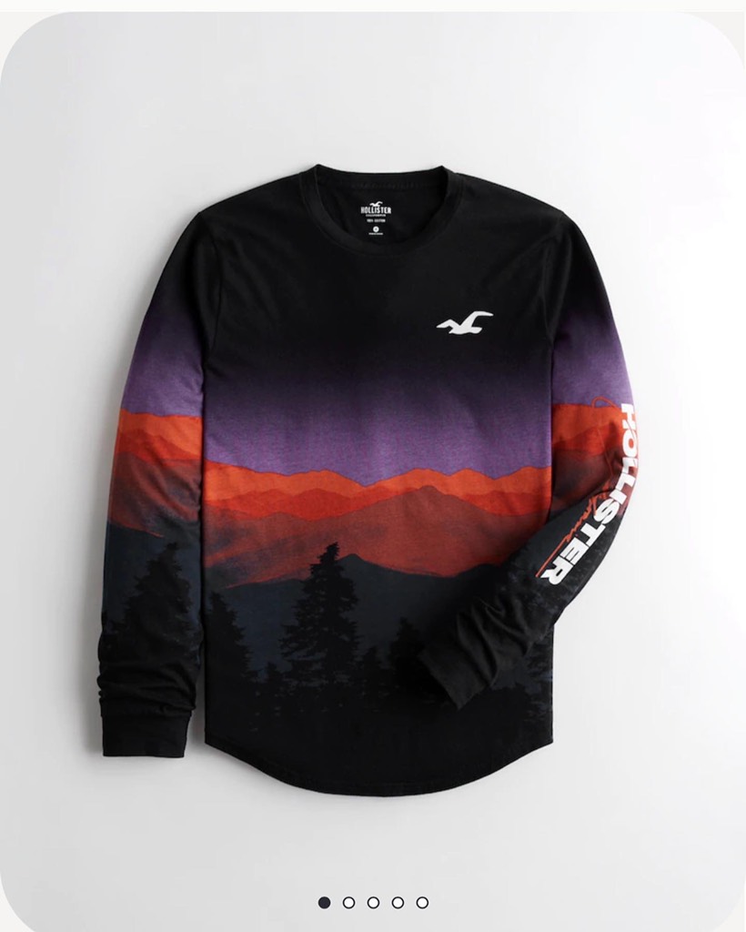 Áo thun nam Hollister Curved Hem T-Shirt