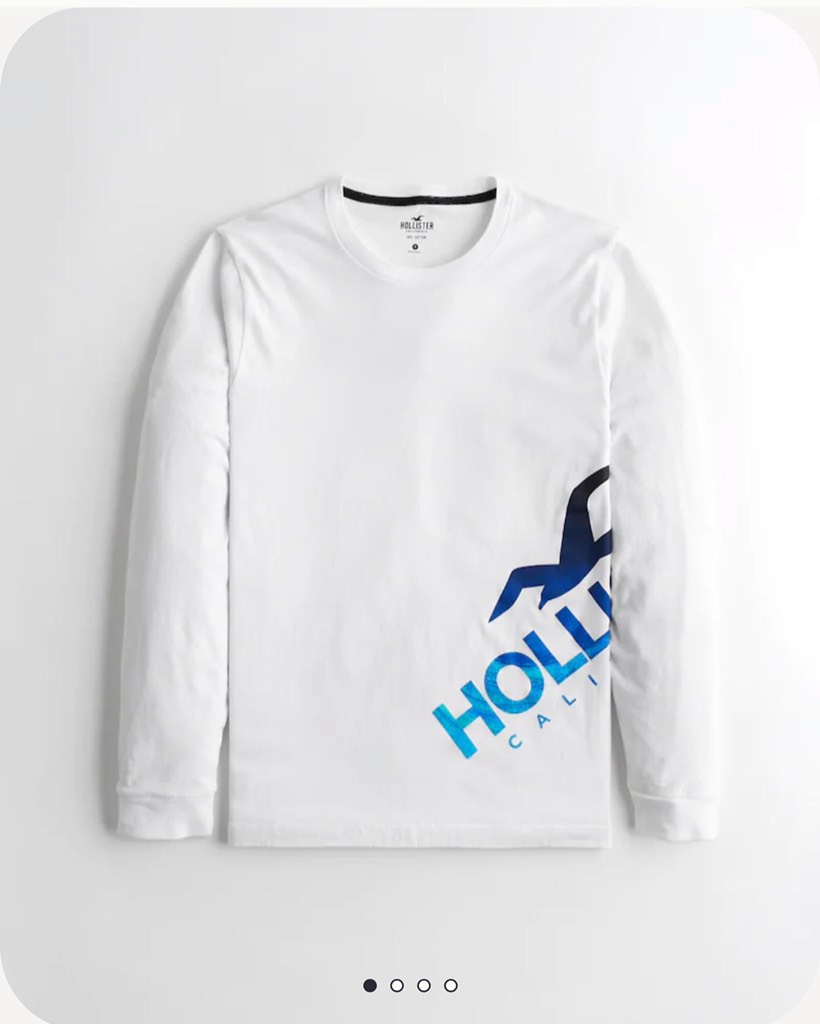 Áo thun nam Hollister Long Sleeve Print Logo Graphic Tee