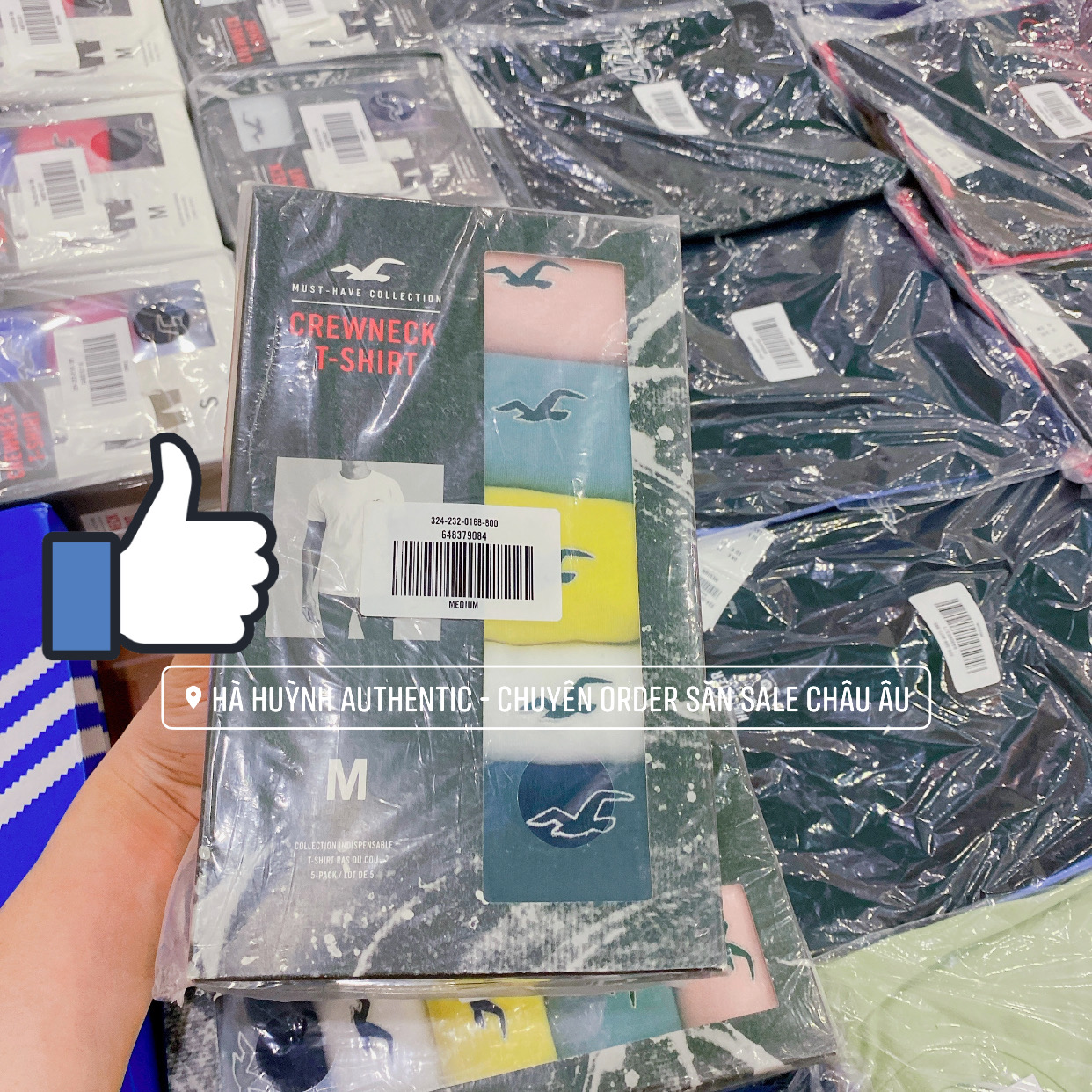 Áo thun nam Hollister Graphic Tee