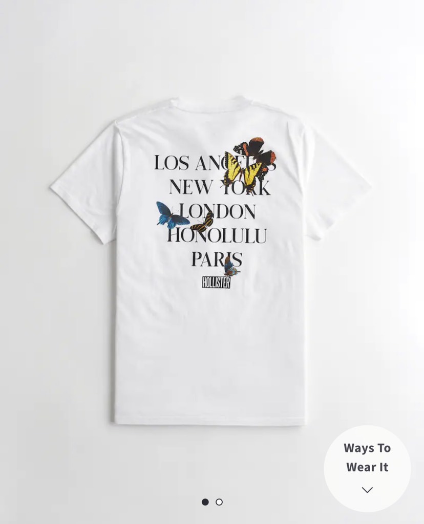 Áo thun nam Hollister Destination Tee