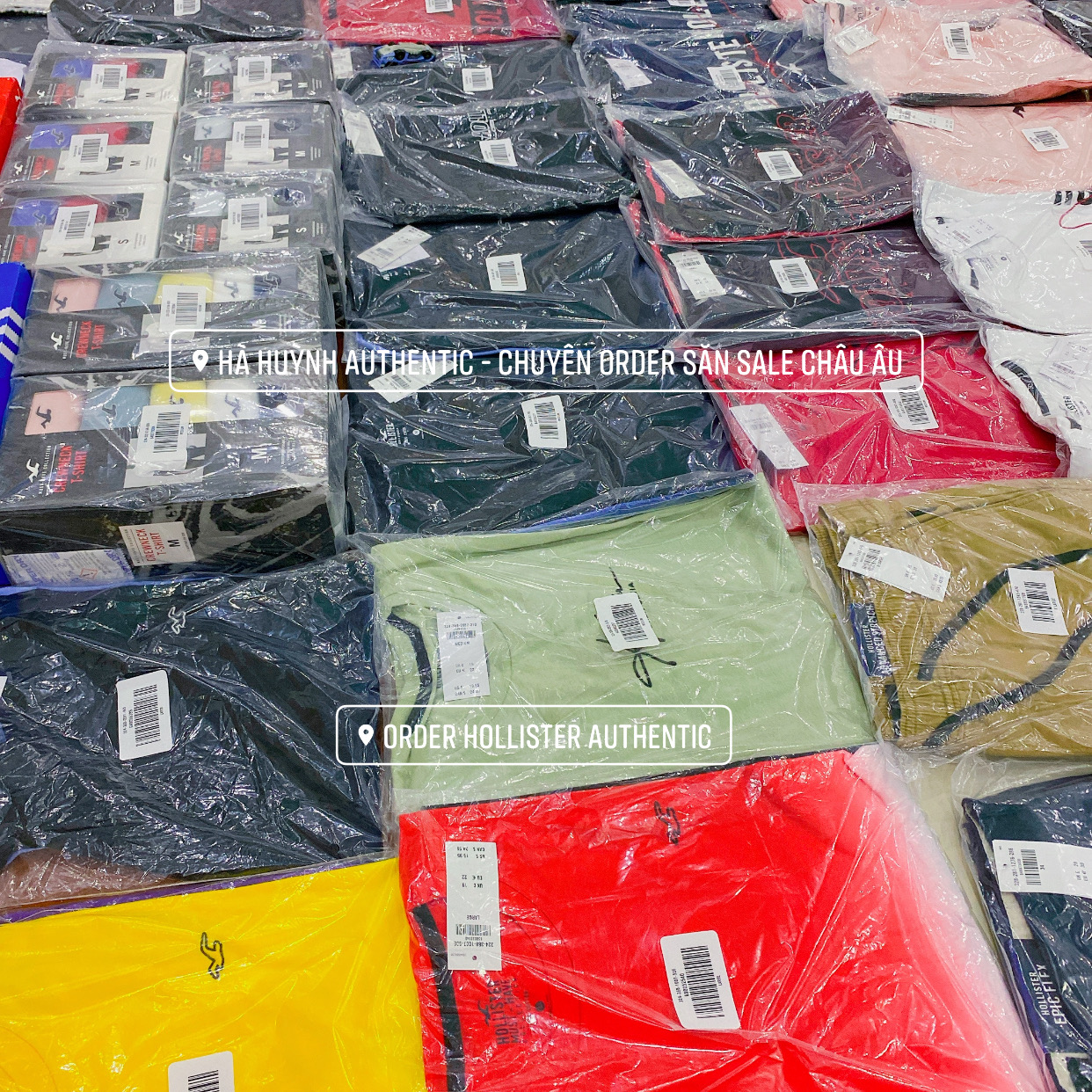 Áo thun nam Hollister Graphic Tee