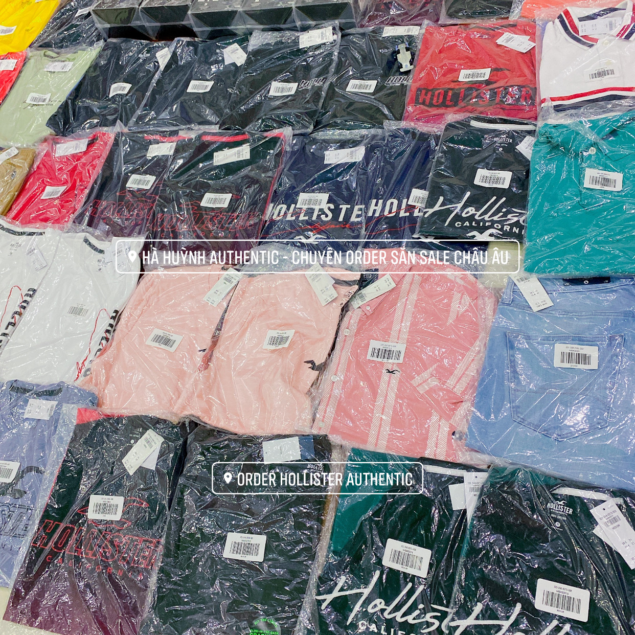 Áo thun nam Hollister Graphic Tee