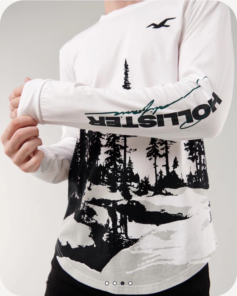 Áo thun nam Hollister Curved Hem T-Shirt