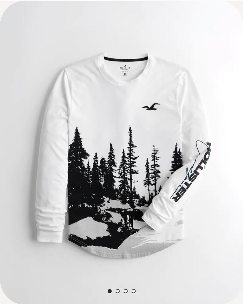 Áo thun nam Hollister Curved Hem T-Shirt