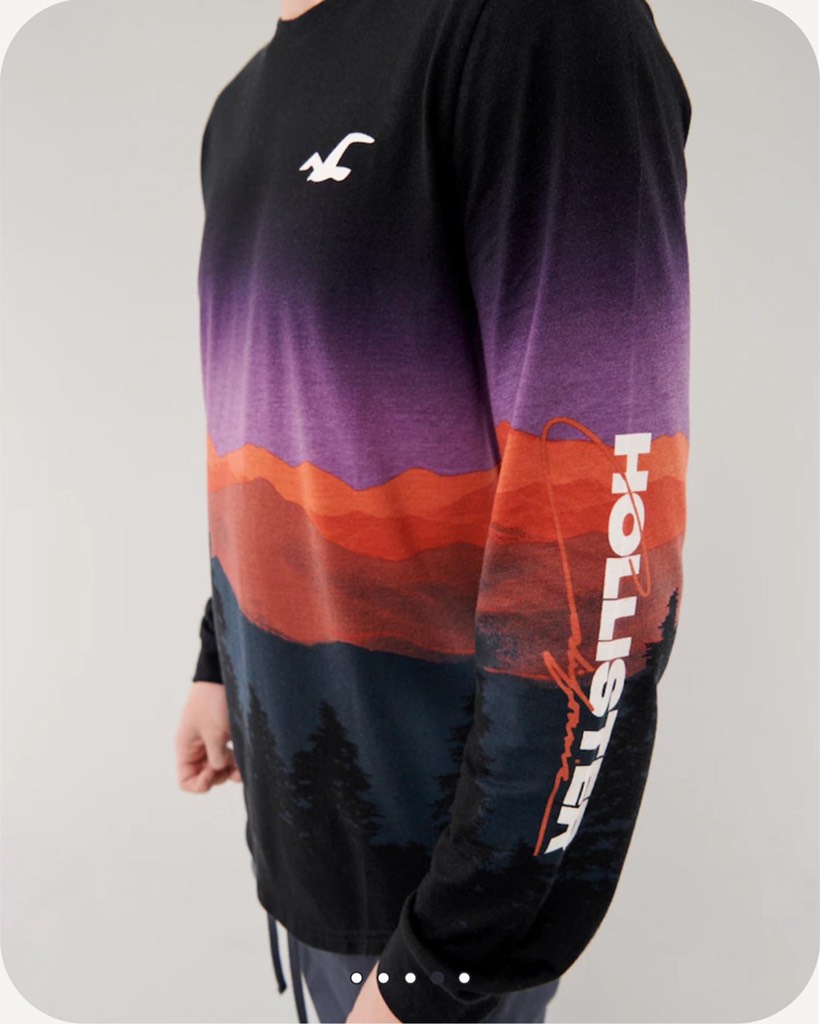 Áo thun nam Hollister Curved Hem T-Shirt