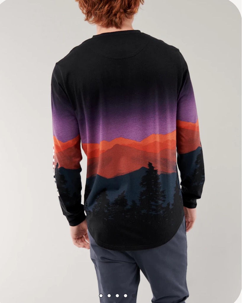 Áo thun nam Hollister Curved Hem T-Shirt