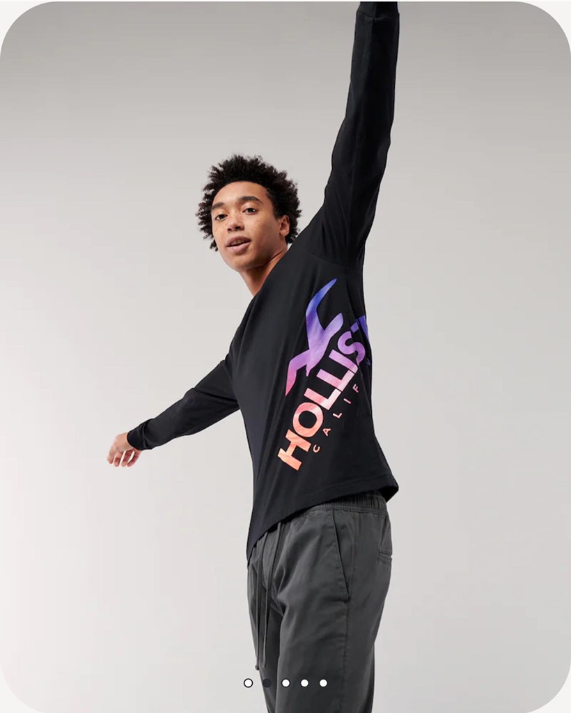 Áo thun nam Hollister Long Sleeve Print Logo Graphic Tee