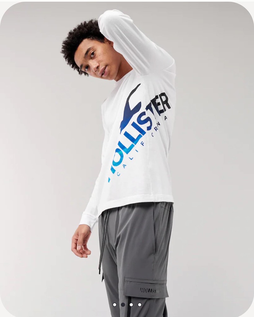 Áo thun nam Hollister Long Sleeve Print Logo Graphic Tee