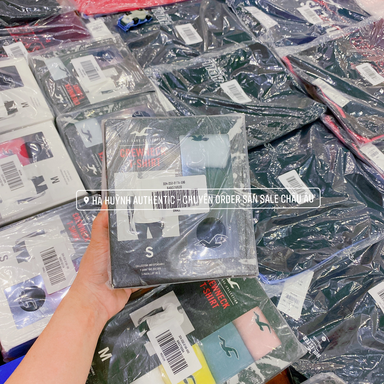 Áo thun nam Hollister Graphic Tee