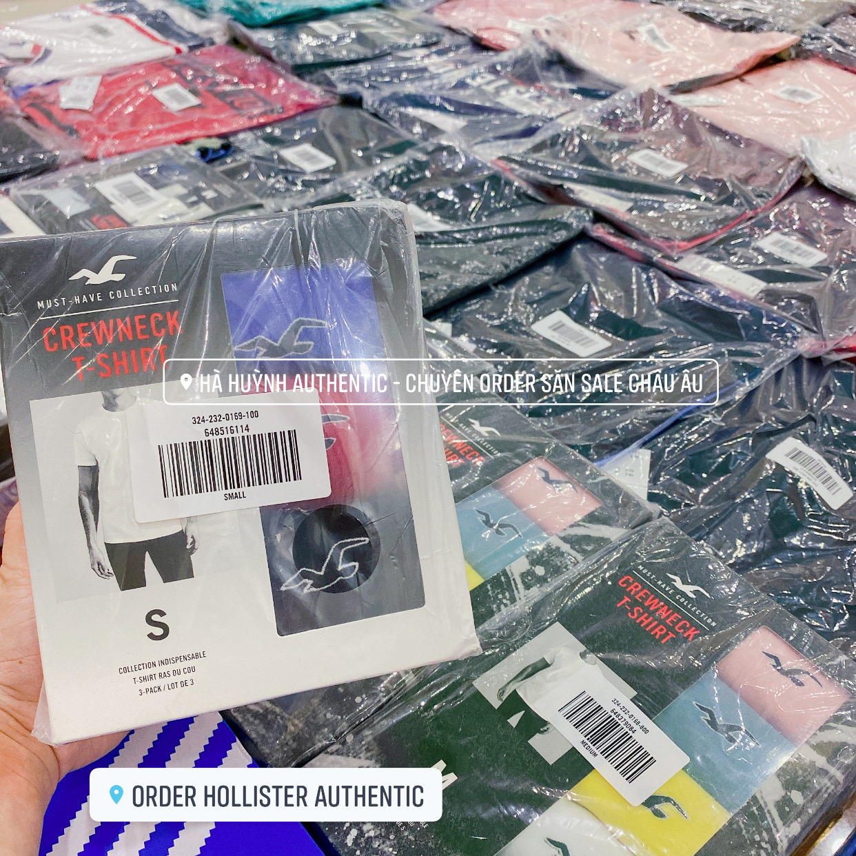 Áo thun nam Hollister Graphic Tee