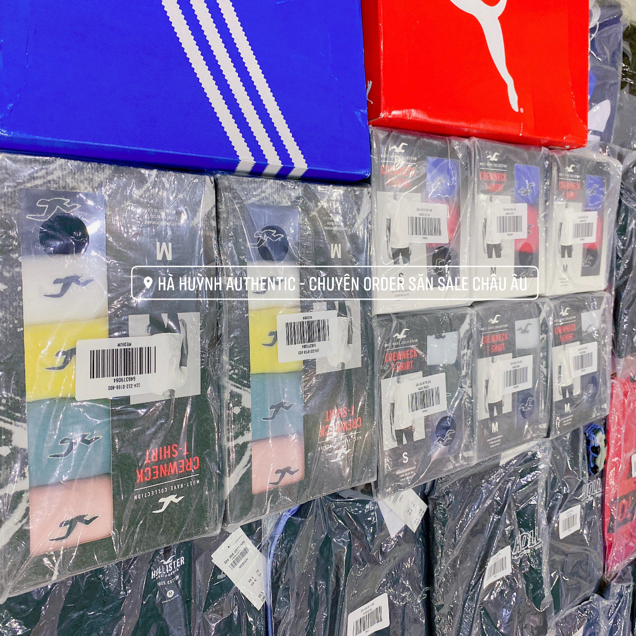 Áo thun nam Hollister Graphic Tee