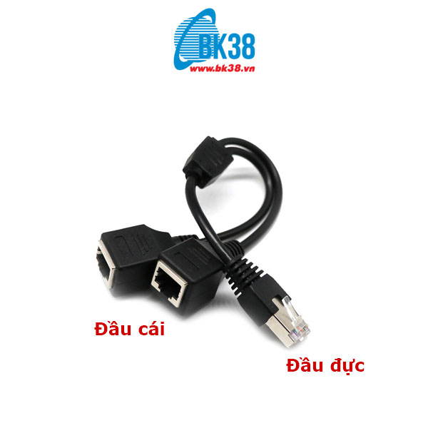 cong-lan-rj45