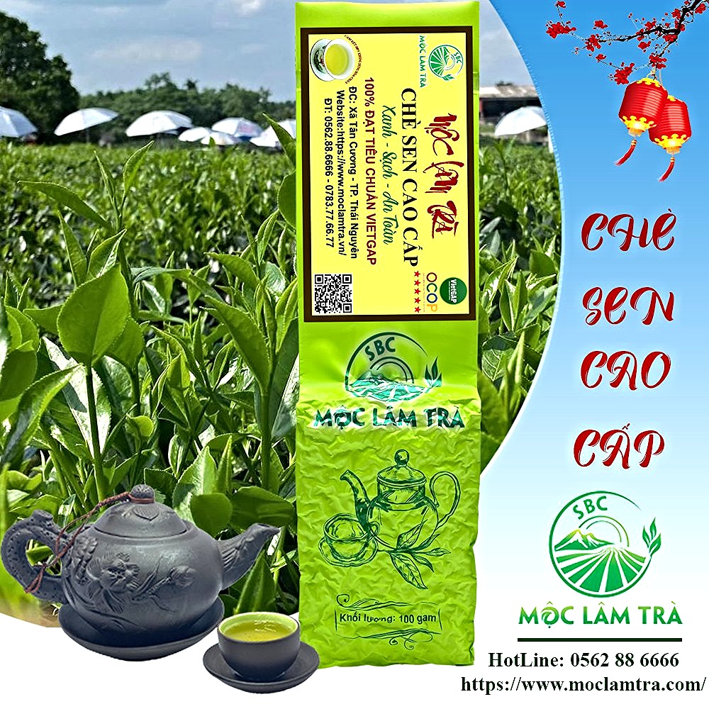 Trà Ướp Sen Hồ Tây