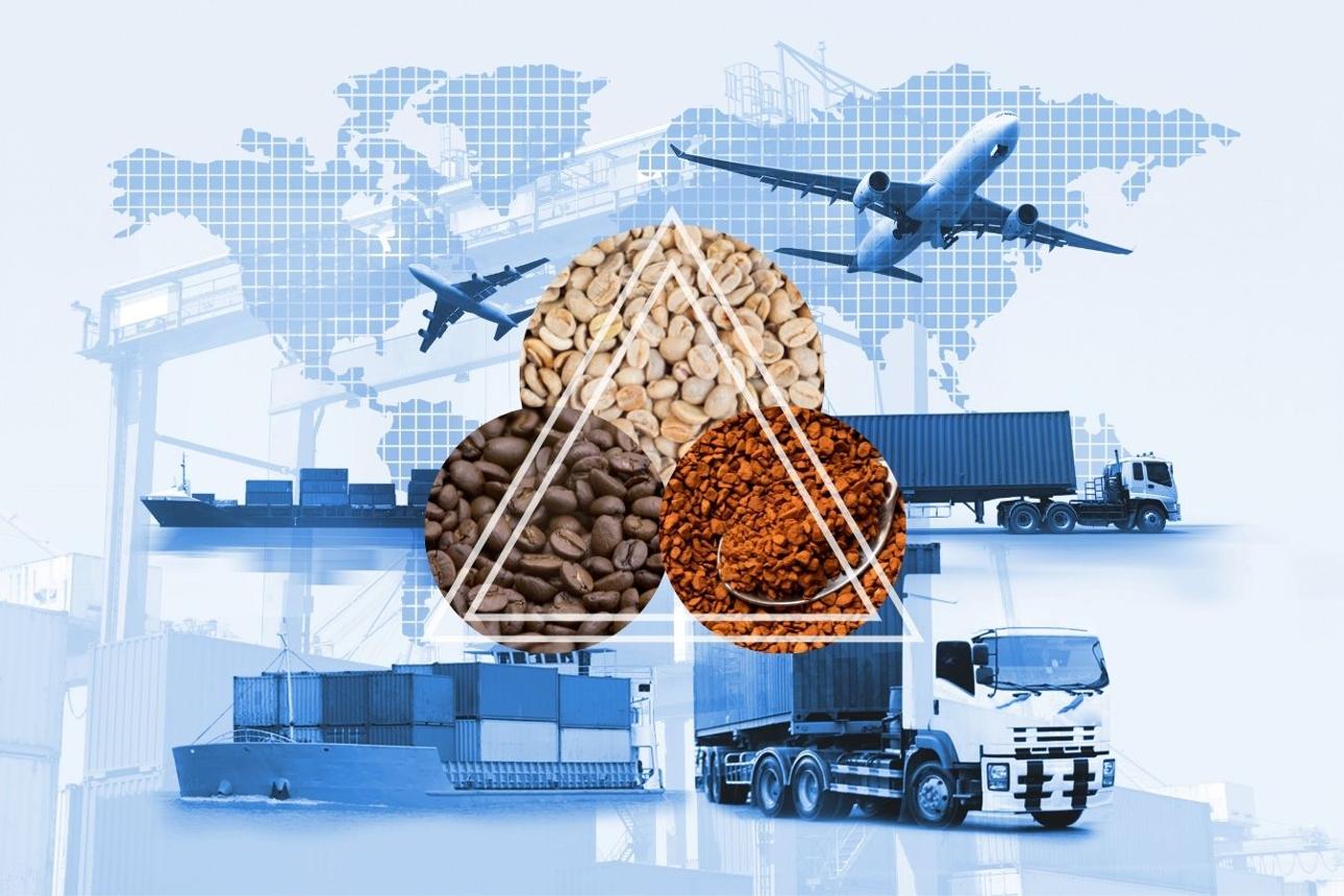 Thủ tục hải quan xuất khẩu cà phê Robusta