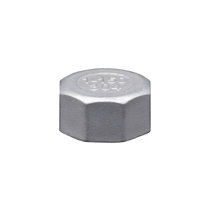 Nắp bịt ren lục giác, inox, class 150