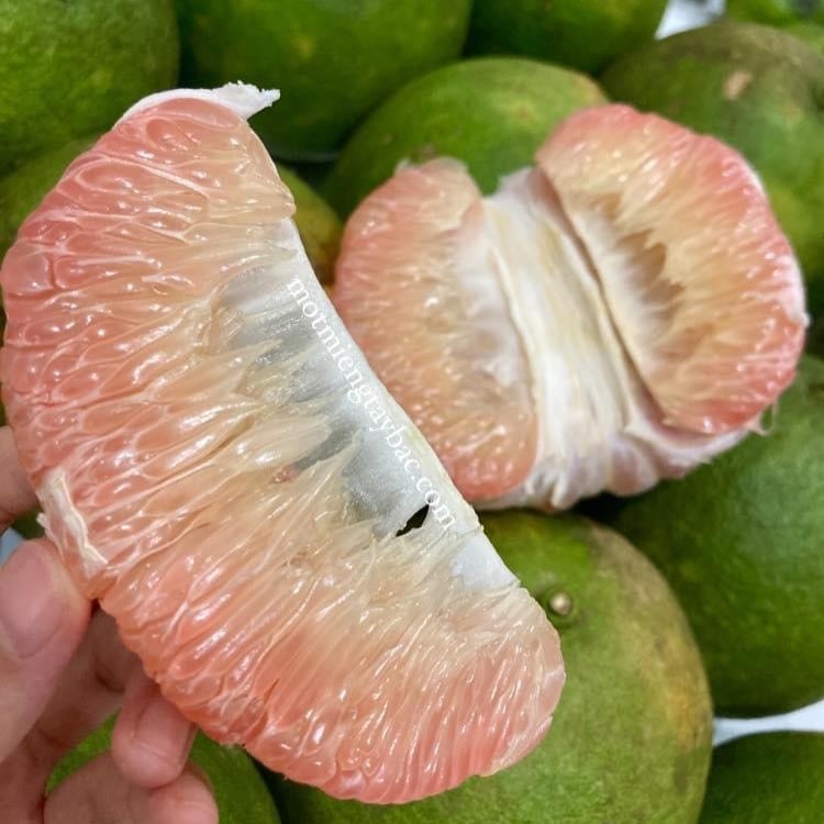 Bưởi hồng da xanh