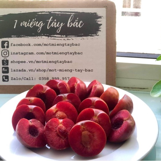 Mận hậu Yên Châu - 1kg (chỉ giao HN)