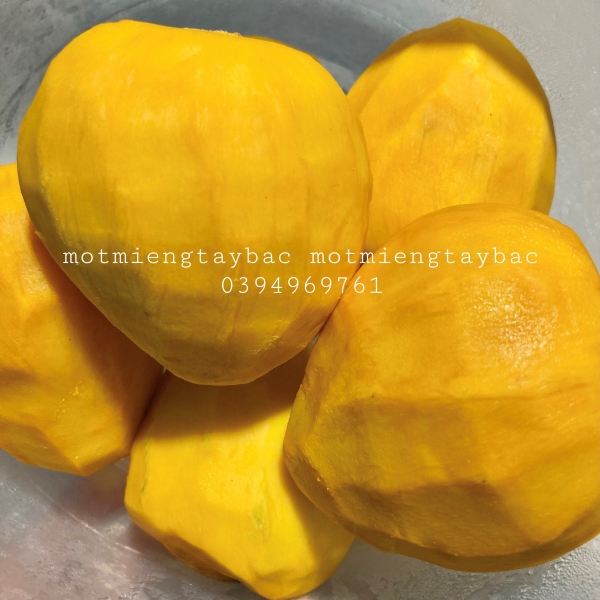 Xoài tròn Yên Châu - 1kg