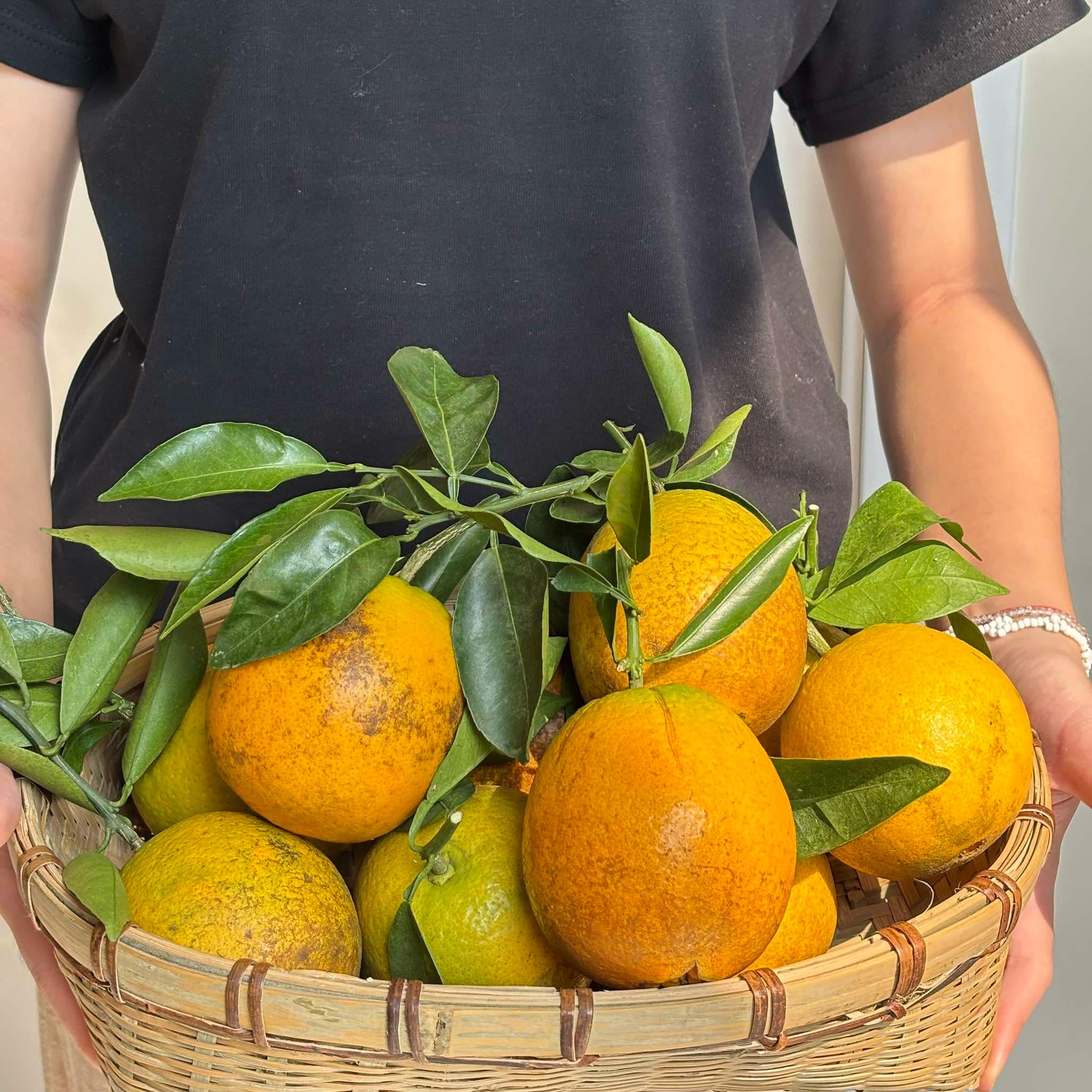 Một miếng Tây Bắc