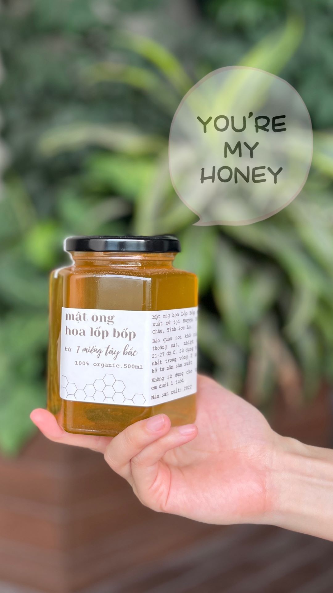 Một miếng Tây Bắc